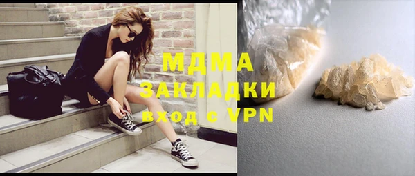 дмт Богданович