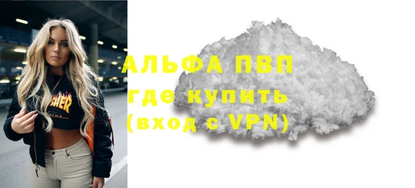 дмт Богданович