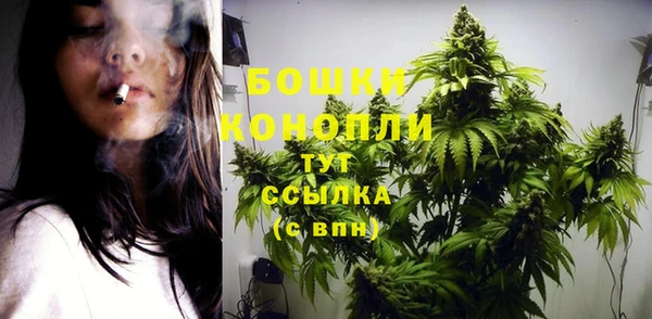 PSILOCYBIN Белоозёрский