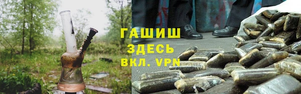 дмт Богданович