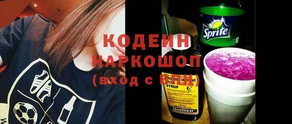 дмт Богданович
