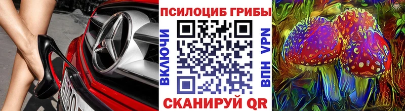 Псилоцибиновые грибы MAGIC MUSHROOMS  Туран 