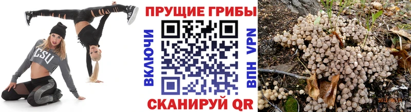Псилоцибиновые грибы мицелий Туран
